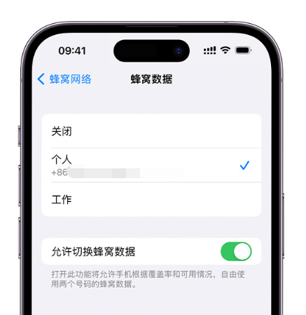 临城苹果维修服务分享如何在iPhone上使用双卡 